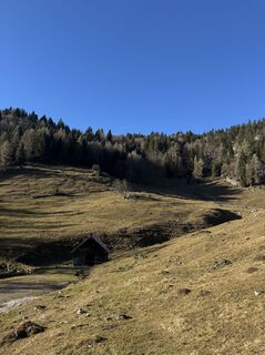 Fotografija s spletne strani Iulia Rubtsova na poti