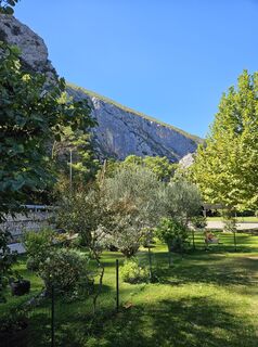 Fotografia z Manfred Mumme na trase