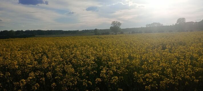 Fotografie z Łucja Sułek na trase