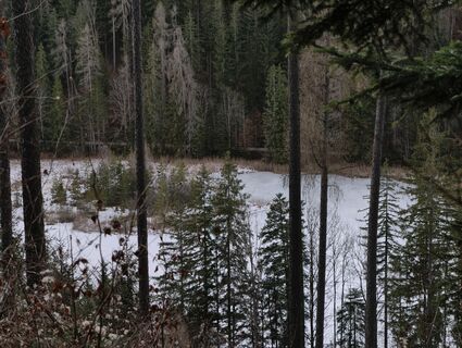 Fotografie z Alisa Matern na trase