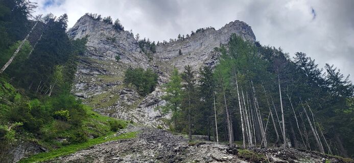 Foto von Zepf ´i entlang der Tour