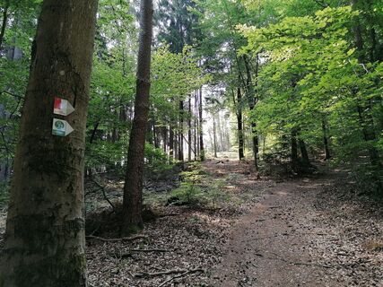 Lambsbachtalrunde oberhalb des Wohlfühlhotels Rabenhorst