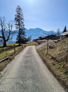 Photo de Moro le long du parcours