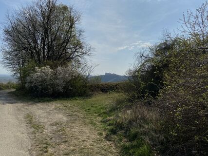 Fotografia z Attila Mihalcz na trase