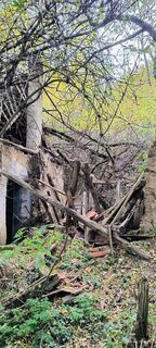 Zdjęcie z Jenő Németh 1 wzdłuż trasy