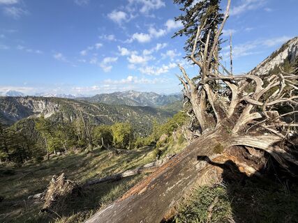Photo de Natur_erleben_dg le long du parcours