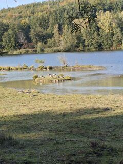 Photo de Sulger Rainer le long du parcours