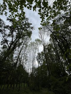 Fotografia z Christine Faustka na trase