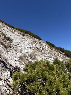 Foto von Markusss entlang der Tour