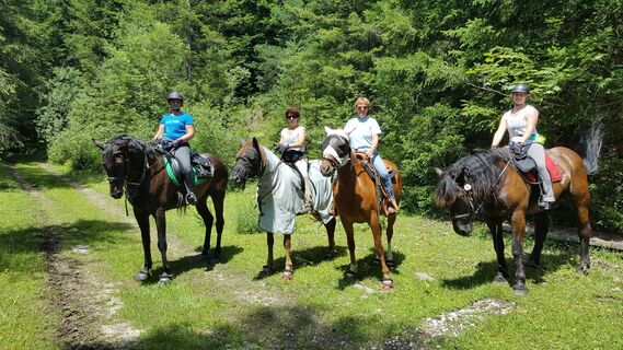 Reiten im Ausseerland