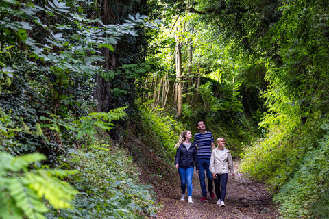 Erlebnisregion Europa-Park_Hohlgasse_Natur entdecken in der Region