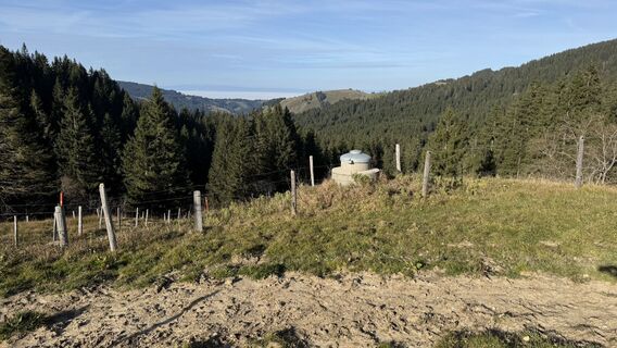 Fotografija s spletne strani peter_oe na poti