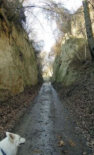 Häuserhohe Lehmwände