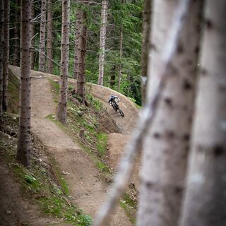 Sisgartner Trail T46