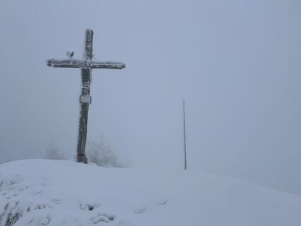 Fotografija s spletne strani martin soppe na poti