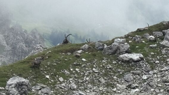 Photo de Johnito Montañas le long du parcours