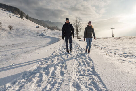 Winterwandern Altherrenweg