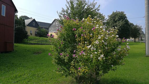 Unterwegs zur Raubritterburg Wysburg