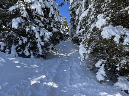 Foto von Gerald MTB entlang der Tour