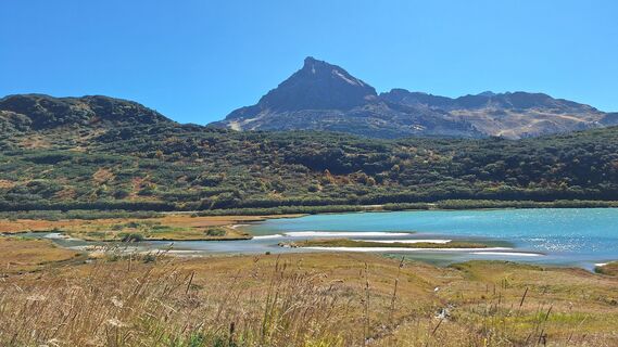Fotografija s spletne strani Veronica Thoeni na poti
