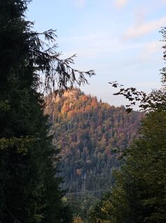 Fotografija s spletne strani Michał K na poti