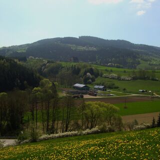 Blick zur St. Anna Kirche