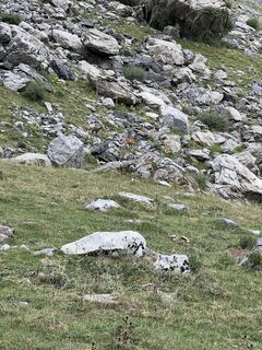 Foto von Sören Textor (SirAnn) entlang der Tour