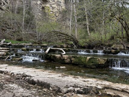 Fotografija s spletne strani Melanie Bechtold na poti