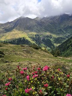 Foto von Grieshofer Gerlinde entlang der Tour