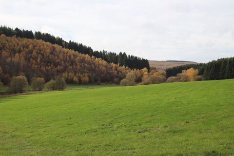 Fotografia z Günter Kleutsch na trase