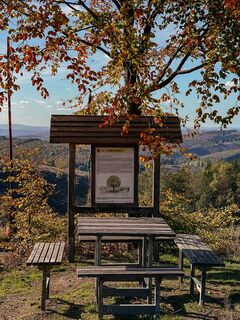 Rastplatz Kaffeebuche auf dem Rothaarsteig im Herbst
