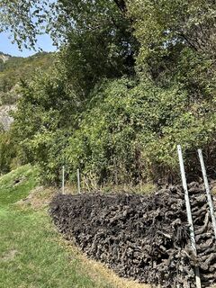 Foto de Cyrill Bischof a lo largo del recorrido