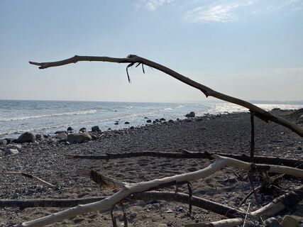 Photo de Wolf Ese le long du parcours