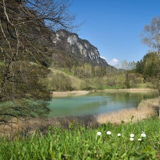 Frauensee
