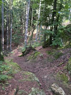 Photo de Johannes Schäufl le long du parcours