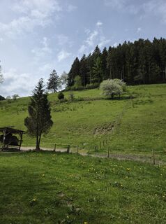 Fotografija s spletne strani W B MA na poti