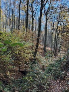 Foto von KingBBQ entlang der Tour