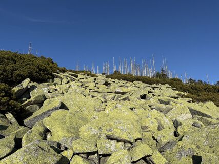 Fotografia z Natur_erleben_dg na trase