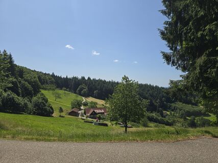 Fotografija s spletne strani Michel Kennel na poti