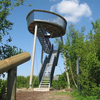 Die "Blattform" auf dem Galgenberg von Bohlingen