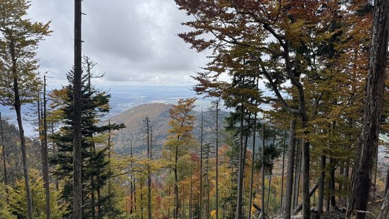 Photo de peterauslinz le long du parcours