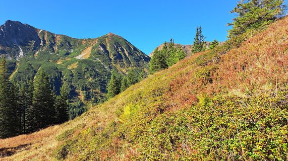 Photo de Anna Wilding le long du parcours