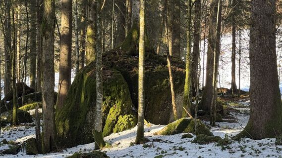 Foto von Johann Grässl entlang der Tour