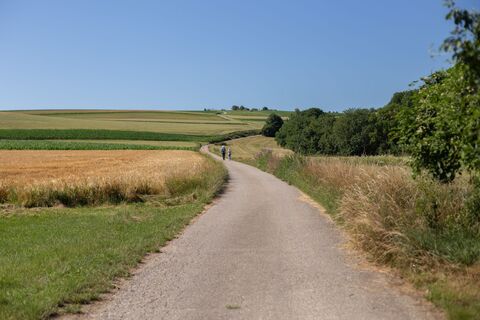 Weg zum Marienstein