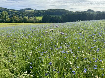 Fotografie de la Pia Brandstätter 1 de-a lungul turului