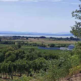 Foto von Florian Klein 8 entlang der Tour