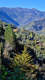 Fotografie z Fabrizi Mellano na trase