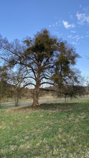 Fotografia z Rupert Hoeppe na trase