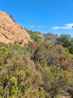 Foto de W B MA a lo largo del recorrido