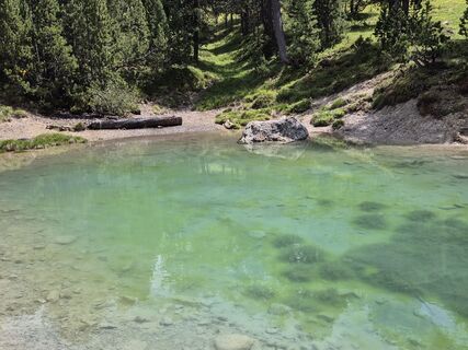 Photo de Thomi W le long du parcours